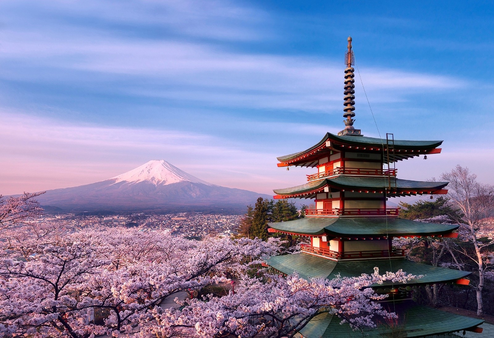 Nahaufnahme einer pagode mit einem berg im hintergrund (kirschblüte, berg fuji, pagode, wahrzeichen, blume)