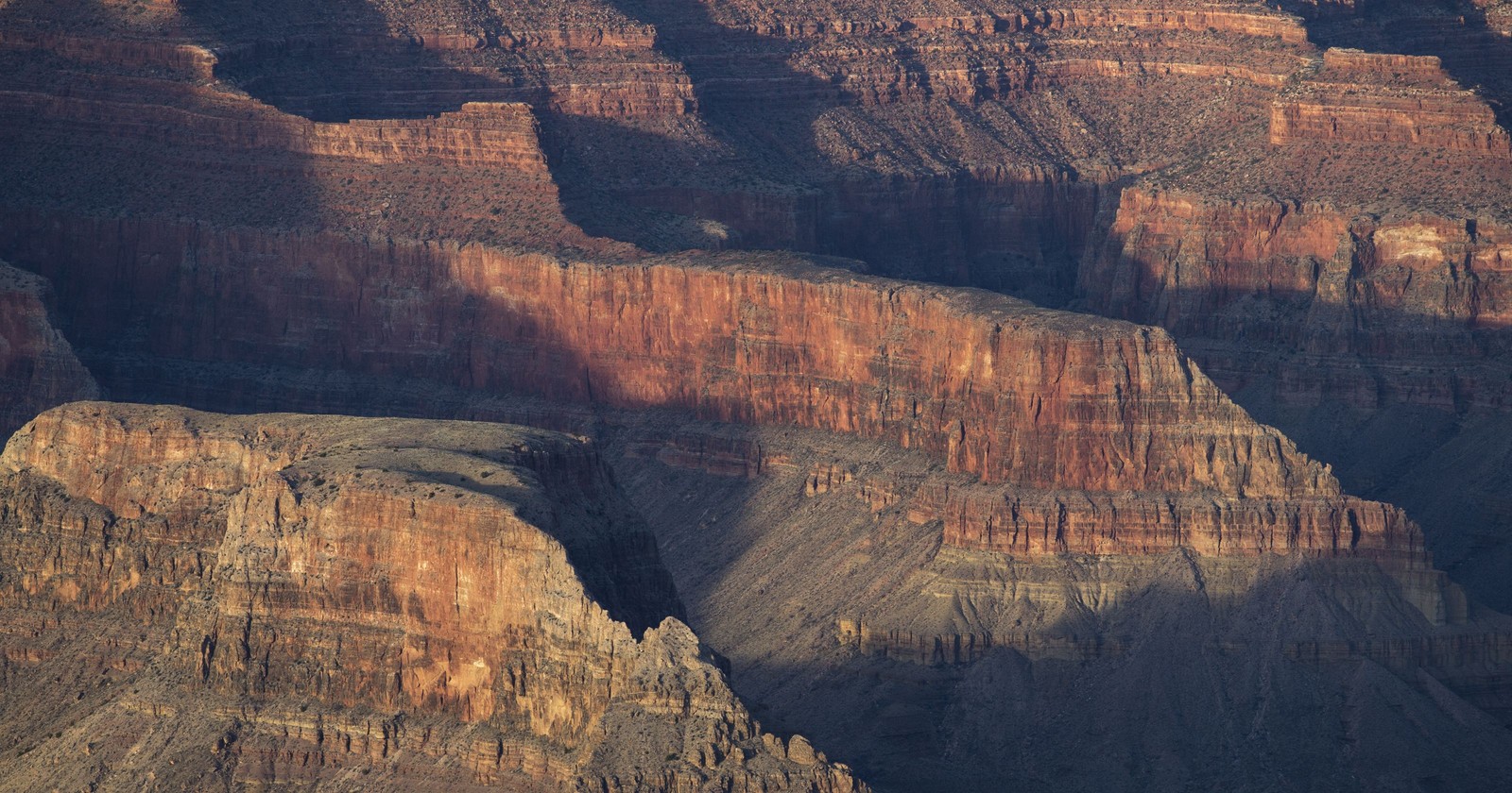 Araffe flying over the edge of a canyon in the desert (grand canyon national park, canyon, colorado river, badlands, national park)