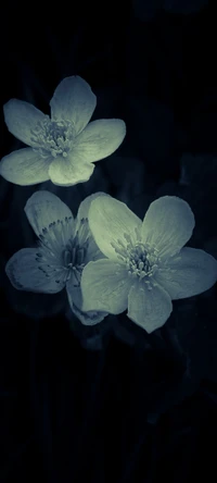 Künstlerisches florales Wandgemälde in Monochrom