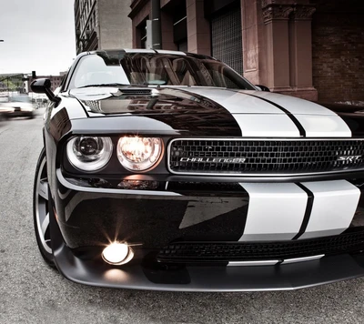 Dodge Challenger: Elegantes Schwarz-Weiß-Sportwagen-Design