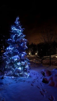 christmas, night