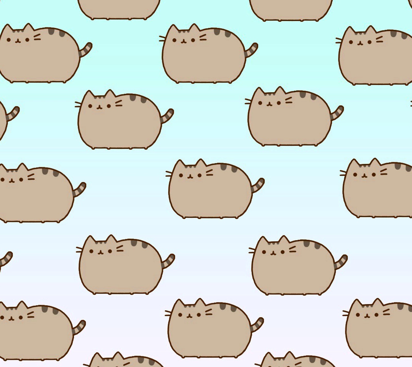 A close up of a bunch of cats with different expressions (cat, kawaii, neko, pusheen)