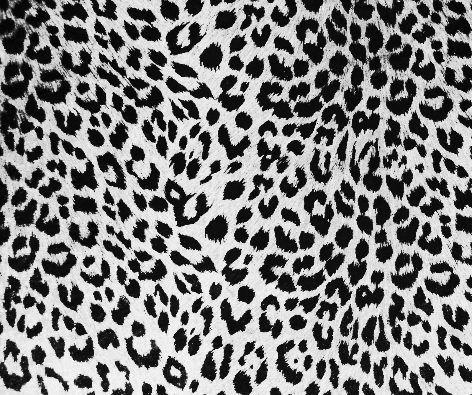 A close up of a black and white leopard print fabric (meem, rubab)