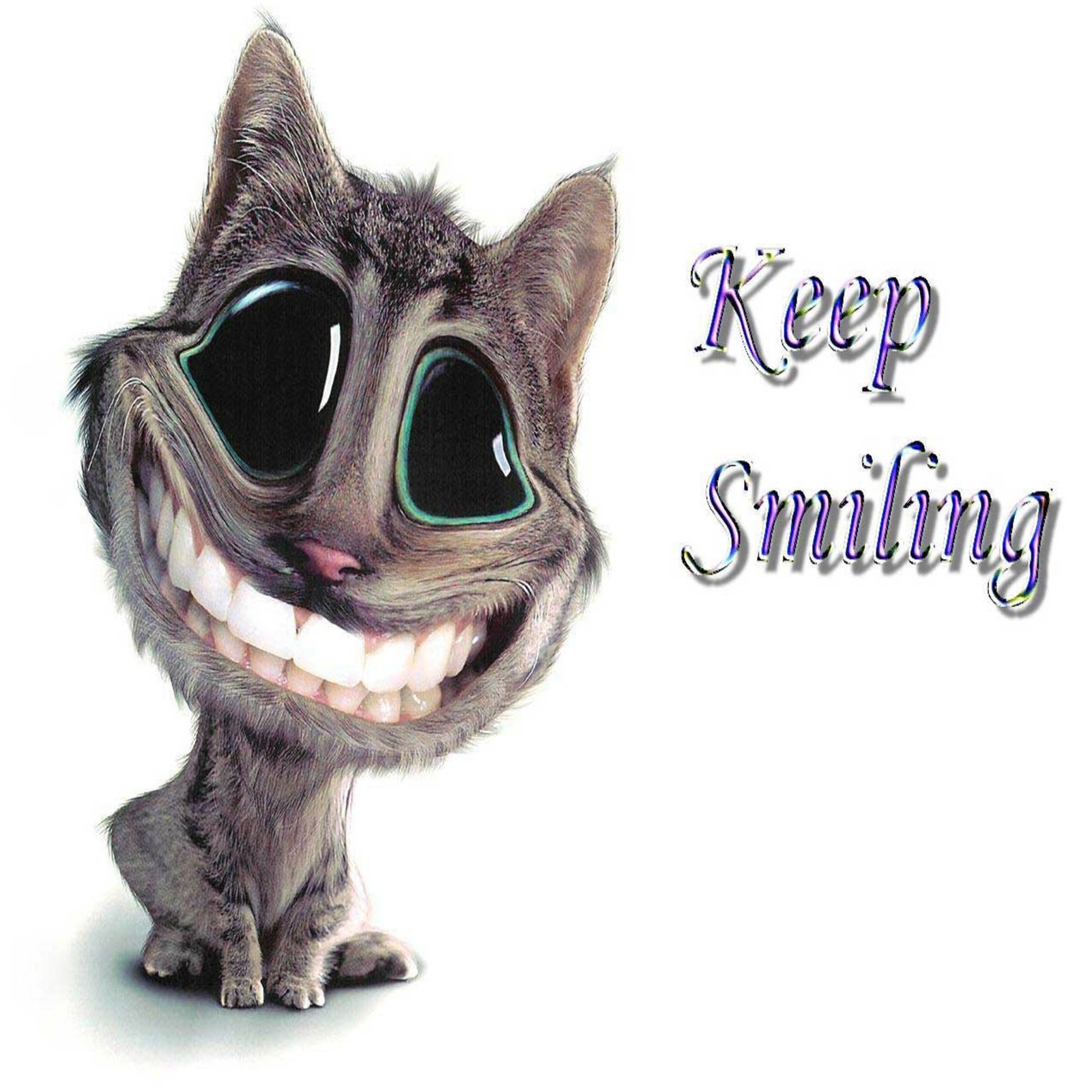 Lade lustig, keep smiling, andere Hintergrund herunter