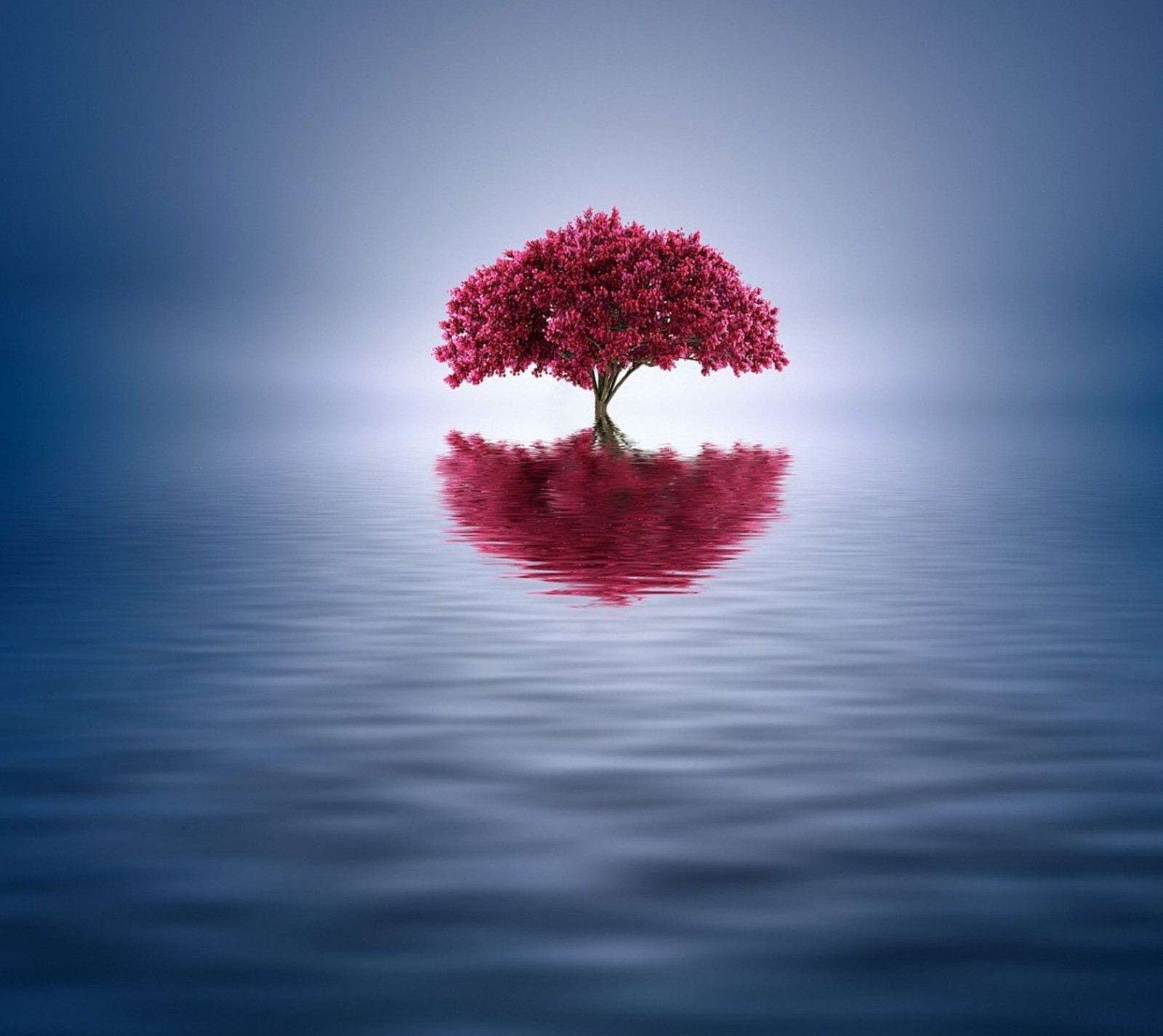 Un arbre aux feuilles rouges se reflète dans l'eau (abstrait, nature, arbre, eau)