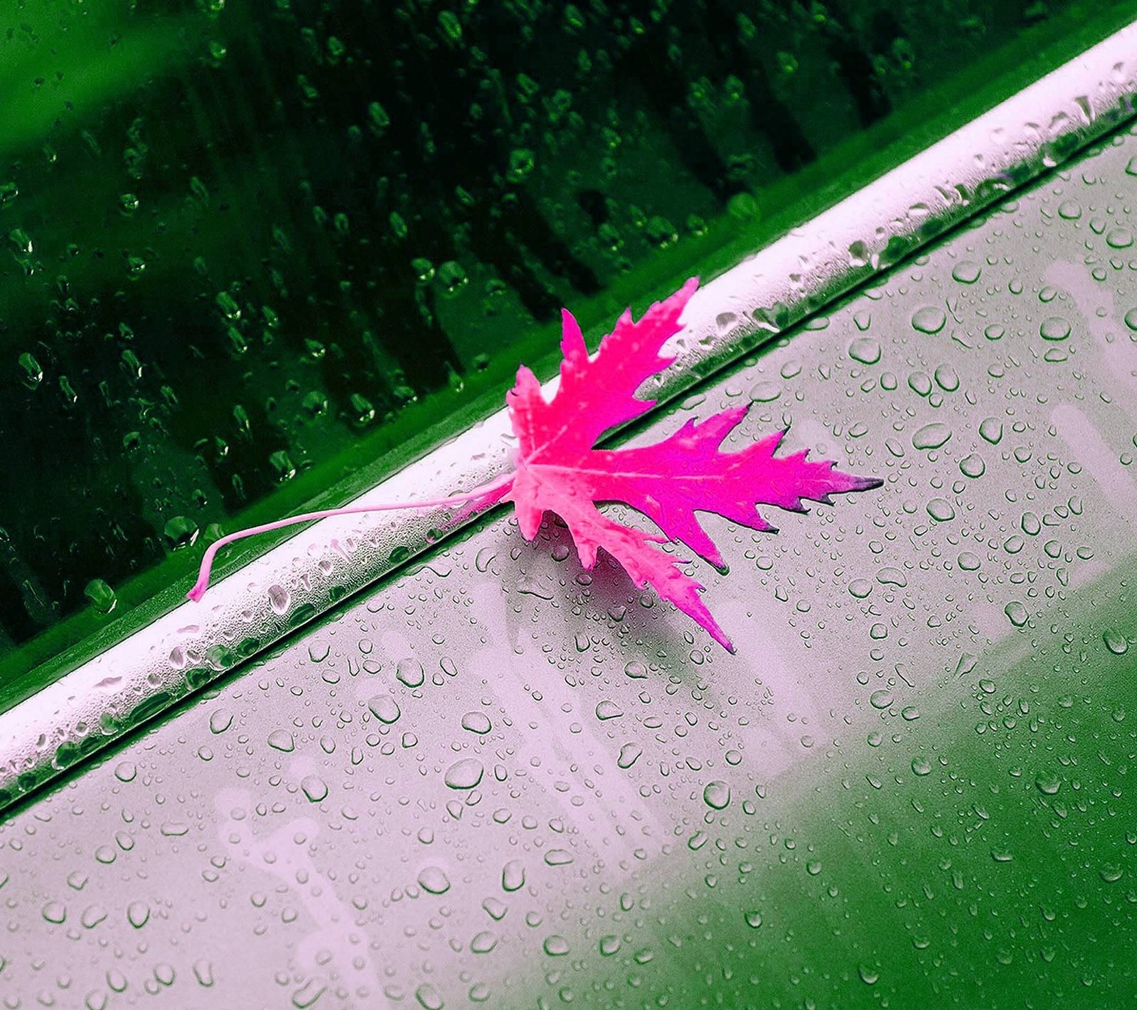 Feuille rose arafed sur le capot d'une voiture avec des gouttes de pluie (abstrait, couleur, coloré, génial, gouttes)