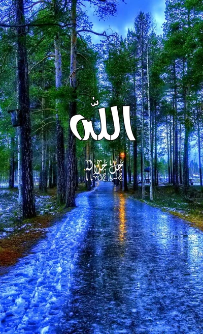 allah, dieu, sympa, nature, arbre