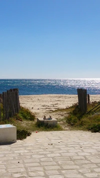 plage, tunis