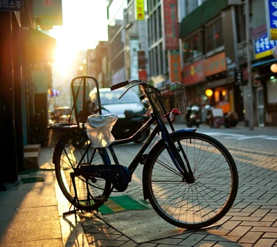 fahrrad, hd, leute, straße, sonne