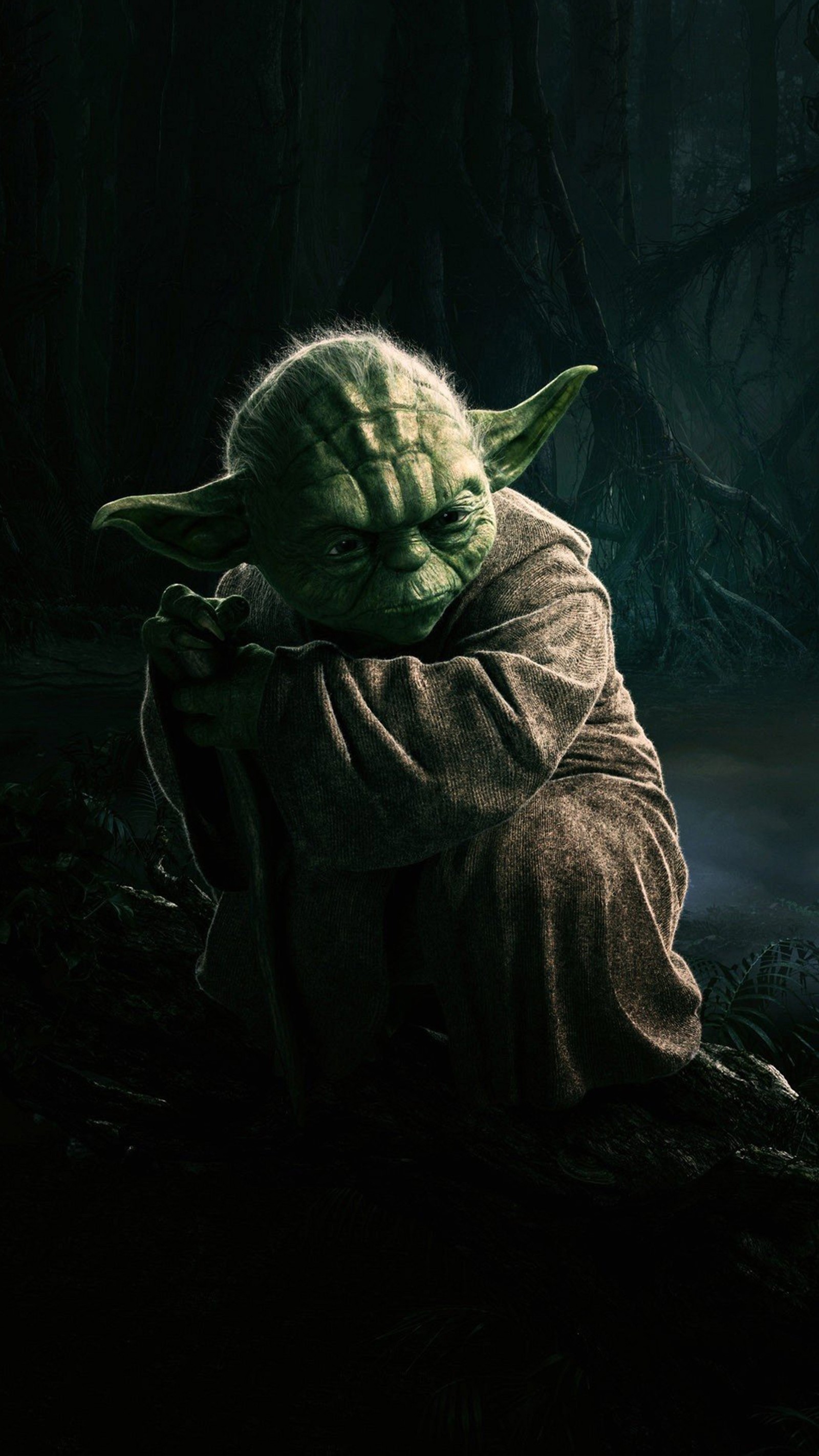 Yoda est un personnage du film star wars (maître, star wars, yoda)