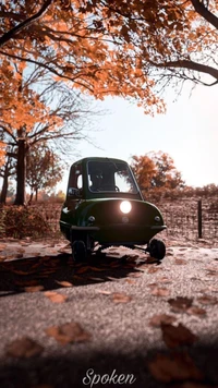 Microcar verte parmi les feuilles d'automne