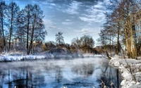 Selvagem de inverno: Reflexões no rio coberto de geada