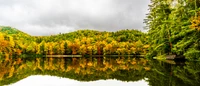 Reflexiones de otoño sobre un humedal tranquilo