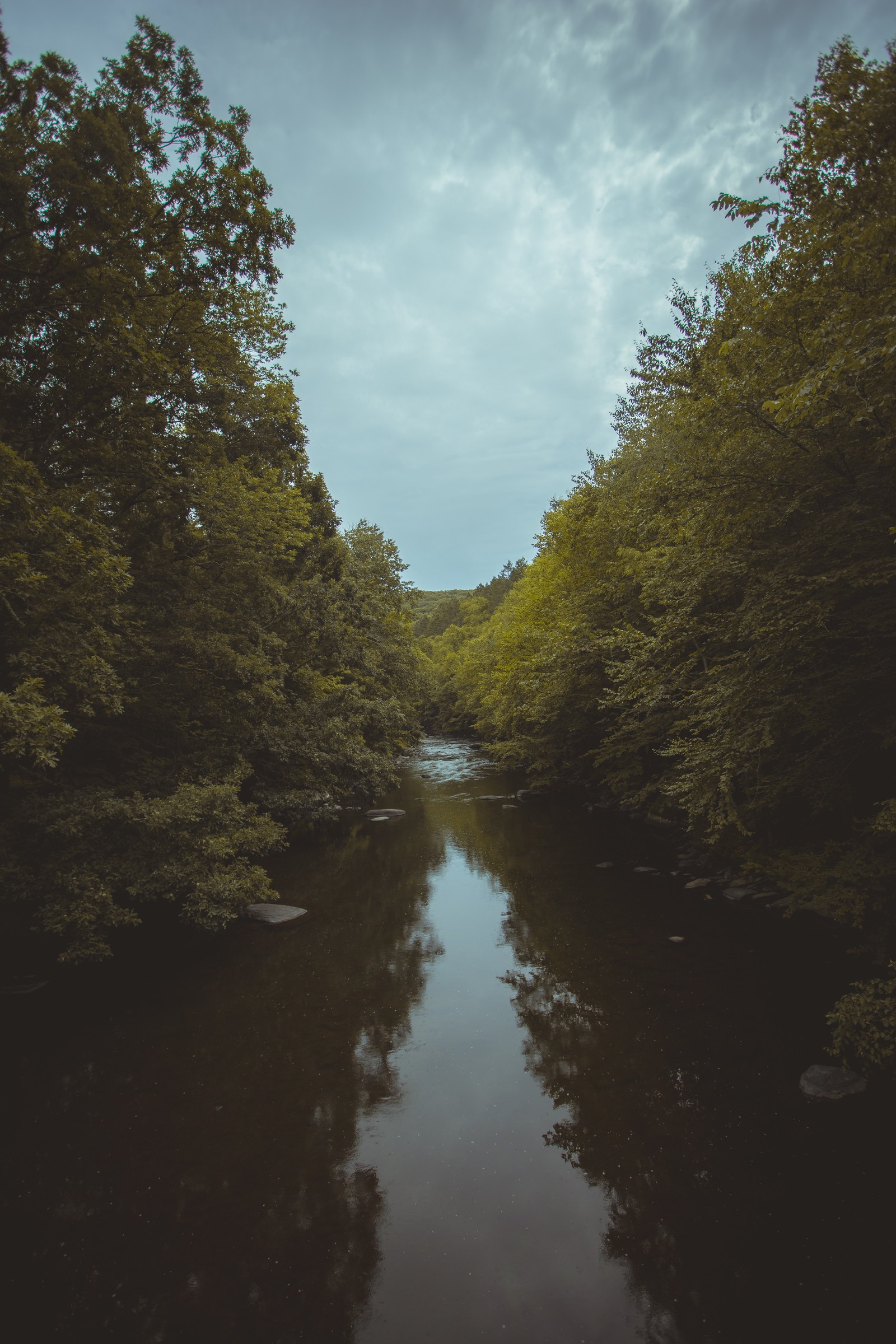 There is a river that is surrounded by trees and rocks (tree, sky, evening, natural landscape, waterway)