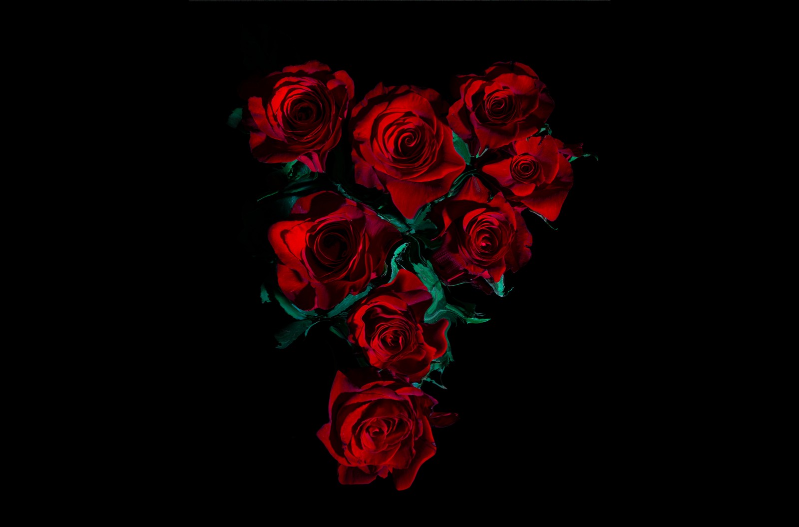 Des roses rouges disposées en forme de v (roses rouges, amoled, 8k, fleurs de rose, arrière plan noir)