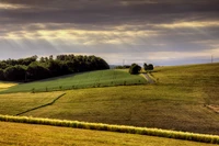 Collines luxuriantes avec des champs d'herbe et une route sinueuse sous un ciel dramatique.