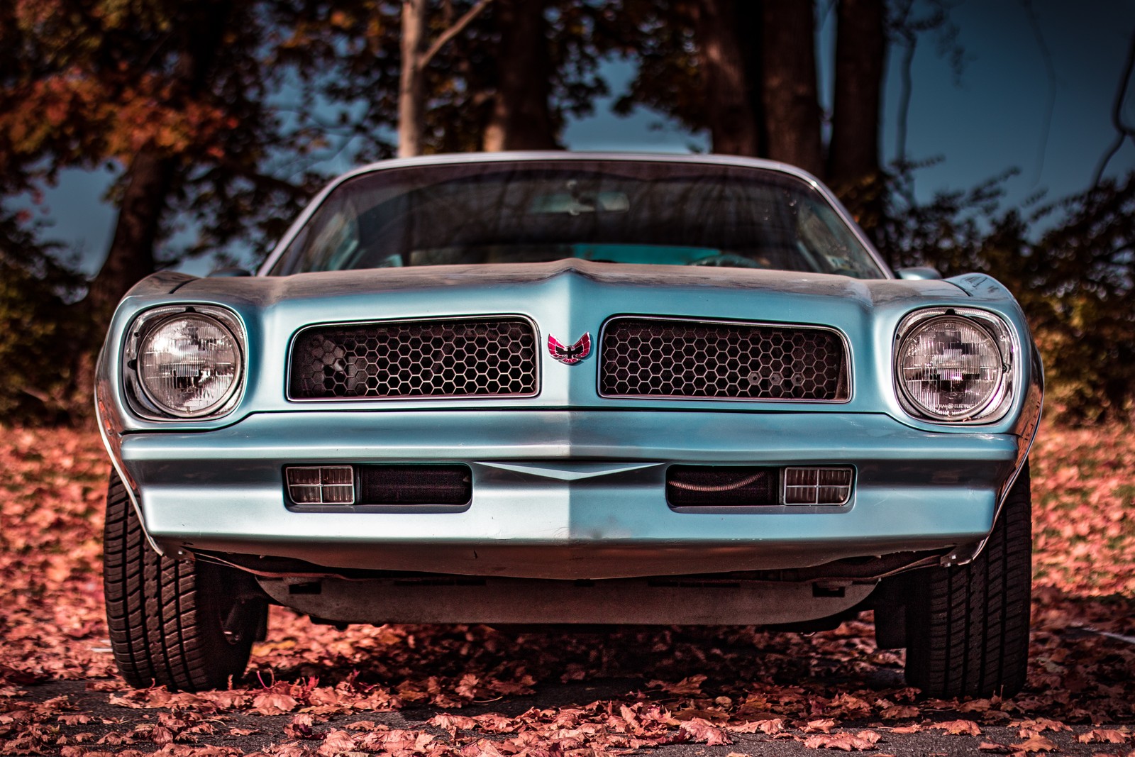 Un gros plan d'une voiture bleue garée dans un parking couvert de feuilles (voiture, pontiac, coup, pare chocs, muscle car)