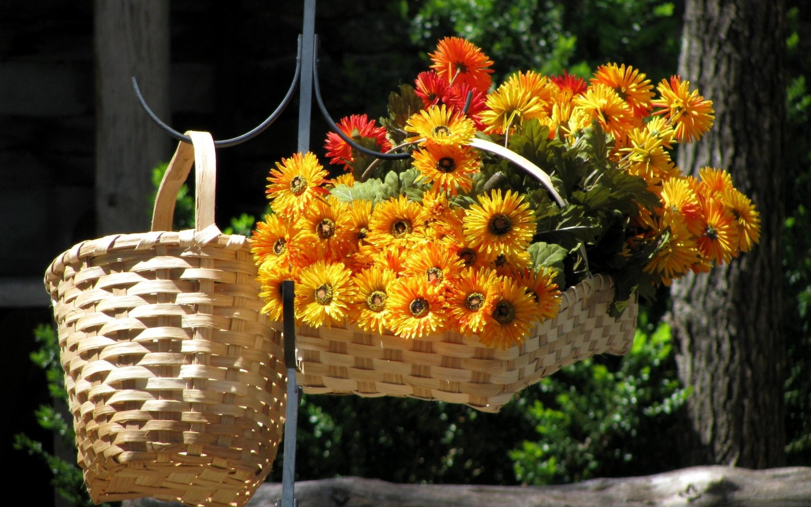 Hay una cesta de flores colgando de un poste (diseño floral, planta floreciendo, cesta, jardín de flores, maceta)