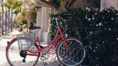 Bicicleta vermelha vintage com cesta estacionada ao lado da vegetação exuberante