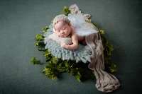 Sleeping Angel: Newborn Baby Girl Surrounded by Sage Green Leaves