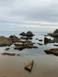 Ligne de rivage calme avec des affleurements rocheux et des eaux tranquilles