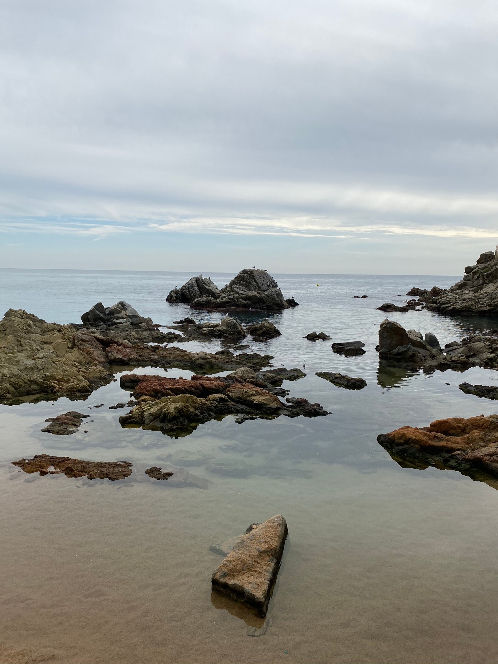 There is a large rock in the water near the shore (sea, water, rock, shore, coast)