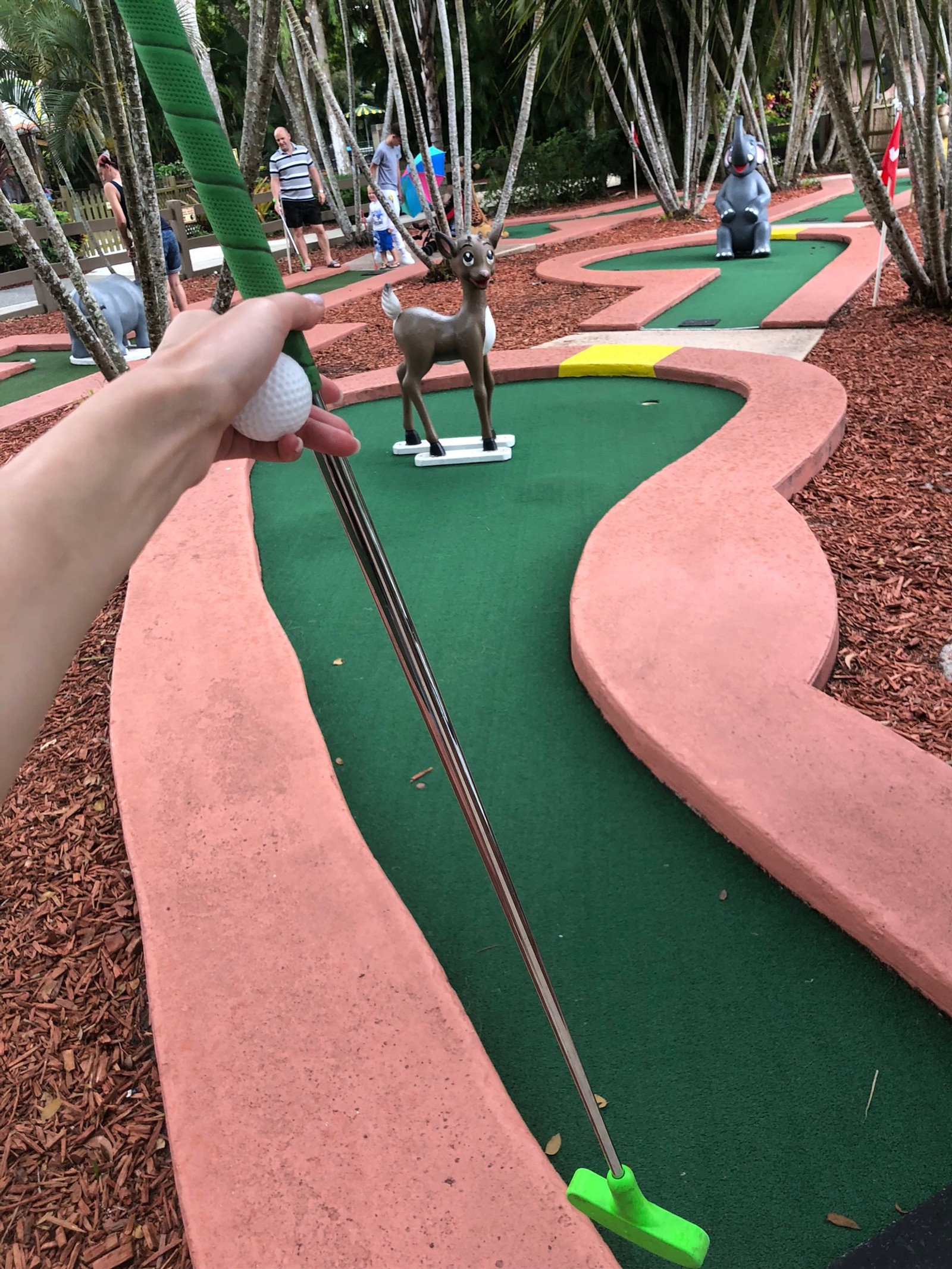 Alguém está jogando mini-golfe com um cachorro em um campo de mini-golfe (espaço público, folha, lazer, planta lenhosa, jogo de bola)