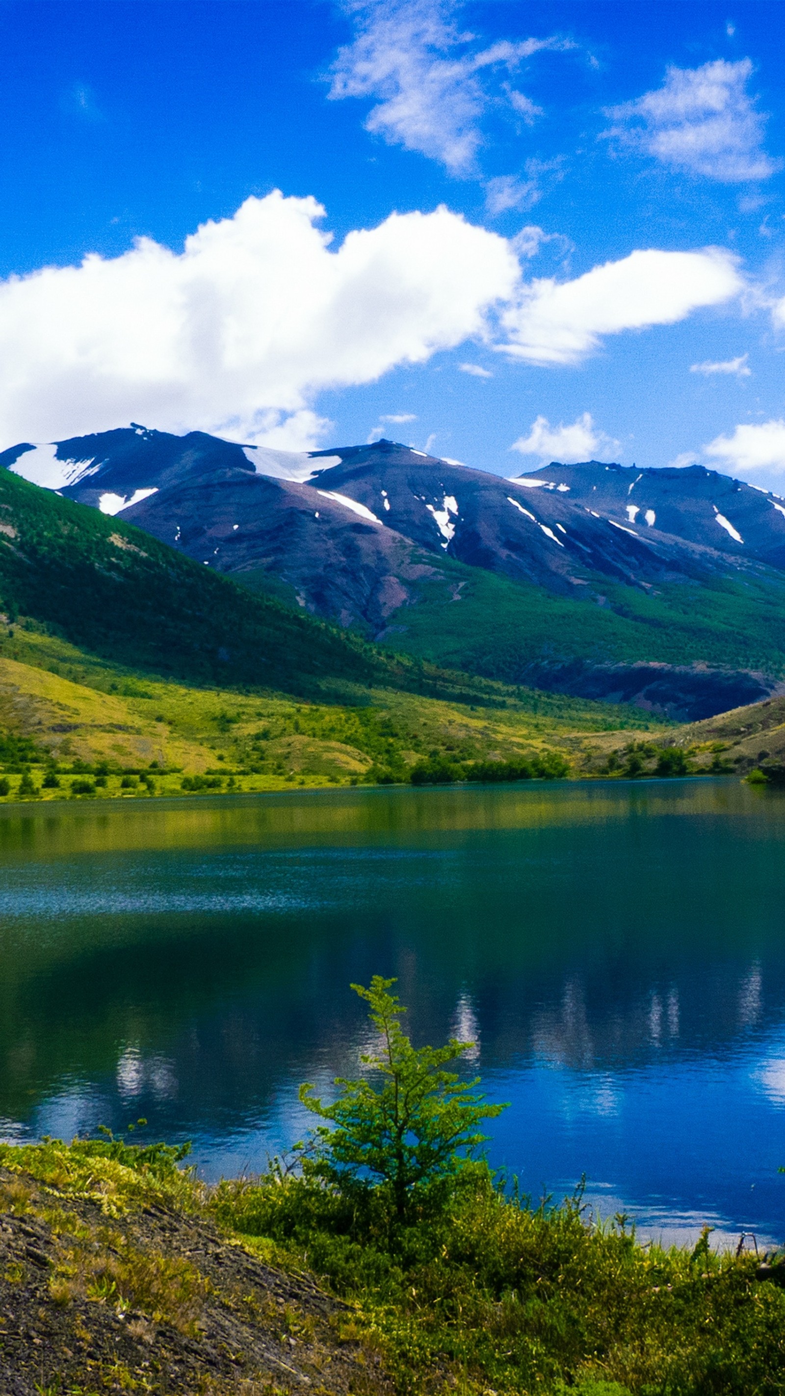 Montanhas ao fundo (parque nacional torres del paine, torres del paine national park, parque nacional los glaciares, lago peho, lake peho)