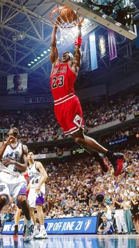 23, air jordan, bulls, chicago, goat wallpaper