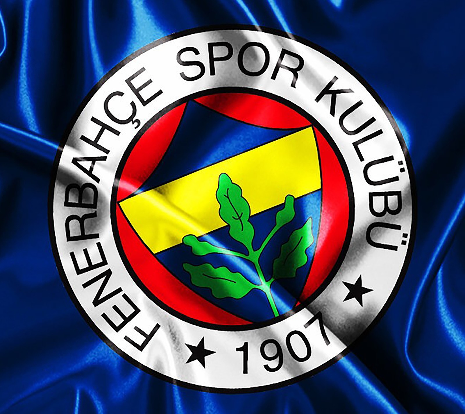 Скачать обои клуб, фенербахче, fenerbahce, футбол, индейка