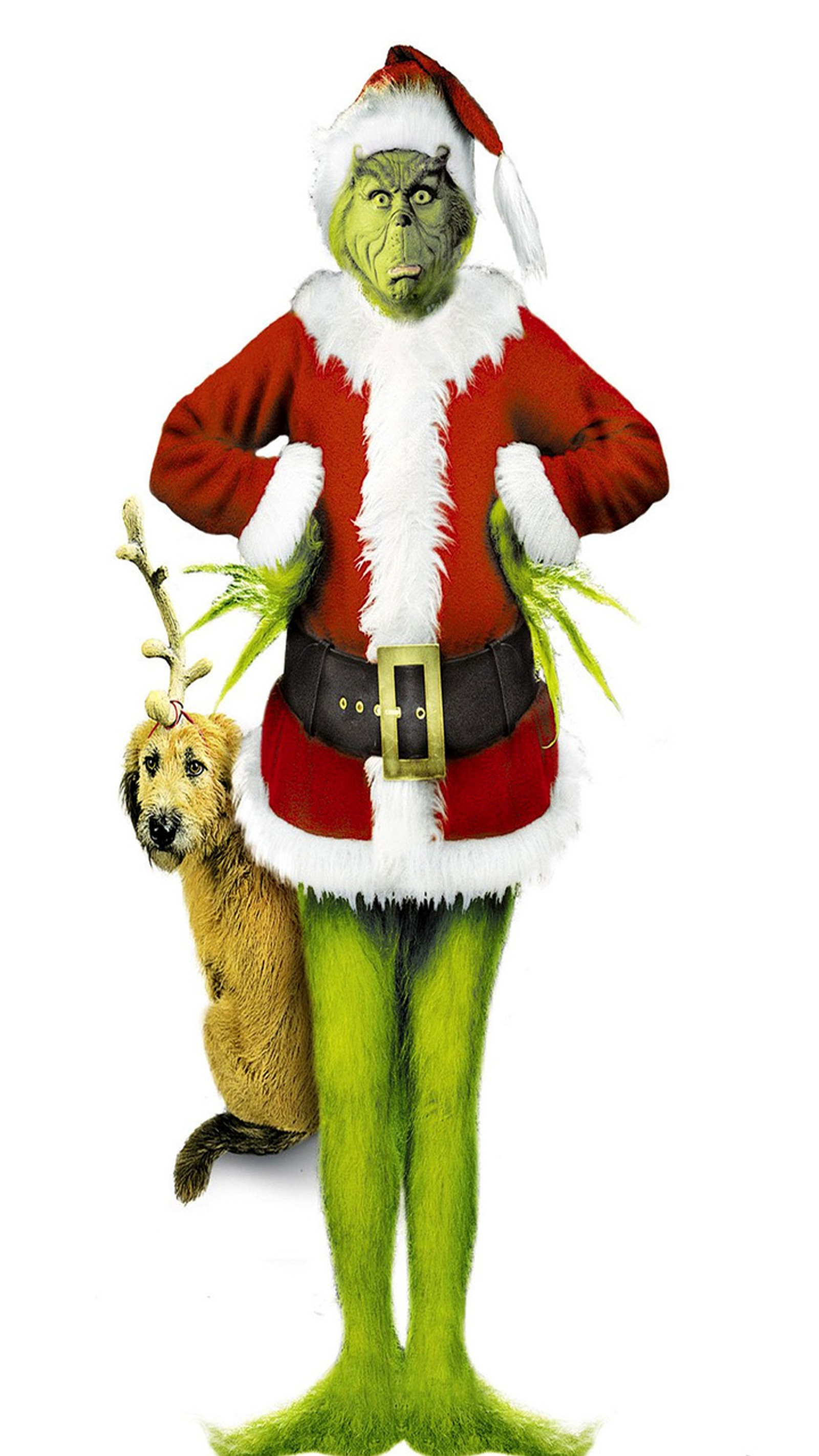 Descargar fondo de pantalla grinch, navidad, perro, santa, festivo