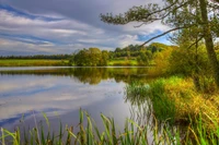 Paisagem serena reflexão de uma reserva natural na Alemanha com vegetação exuberante e águas calmas.