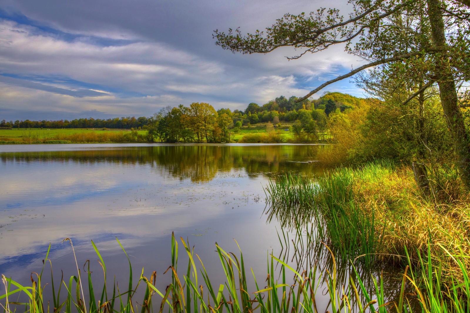 Eine abstrahierte sicht auf einen see mit einem baum und ein paar gräsern (landschaftsmalerei, landschaft, natur, gewässer, reflexion)