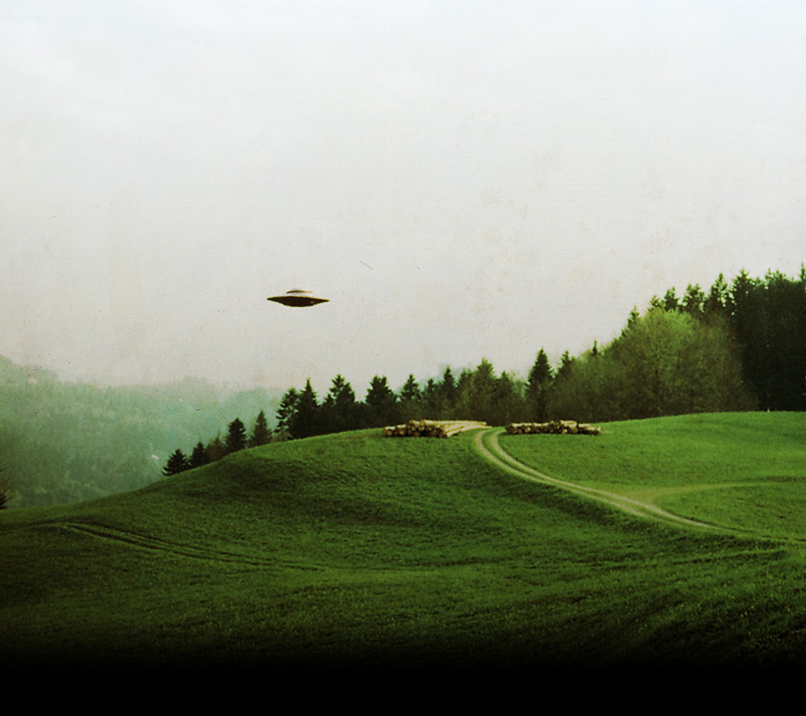 There is a large group of sheep in a field with a flying saucer (believe, space, ufo)