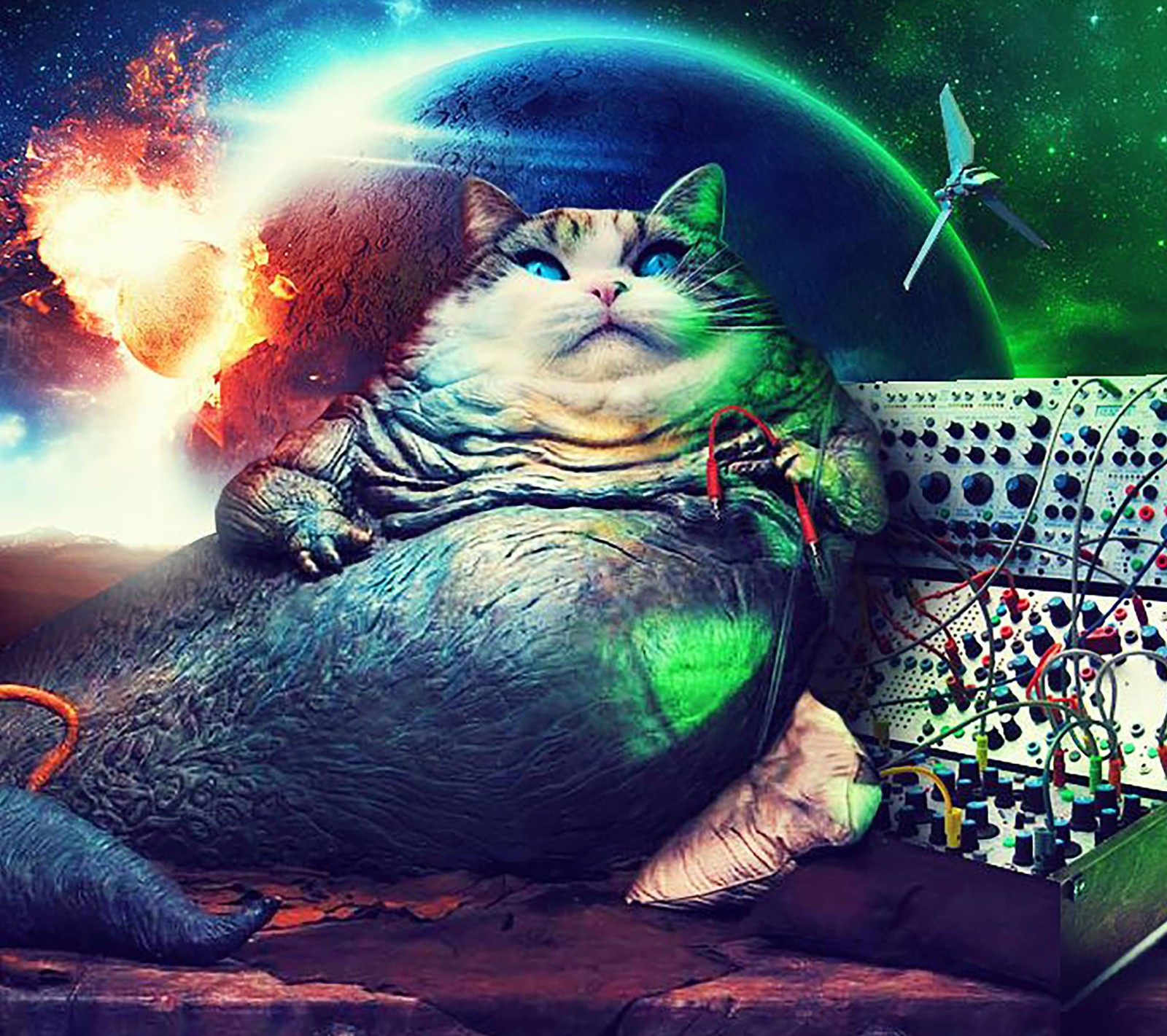 Téléchargez le fond d'écran chat, jabba, espace, synthétiseur