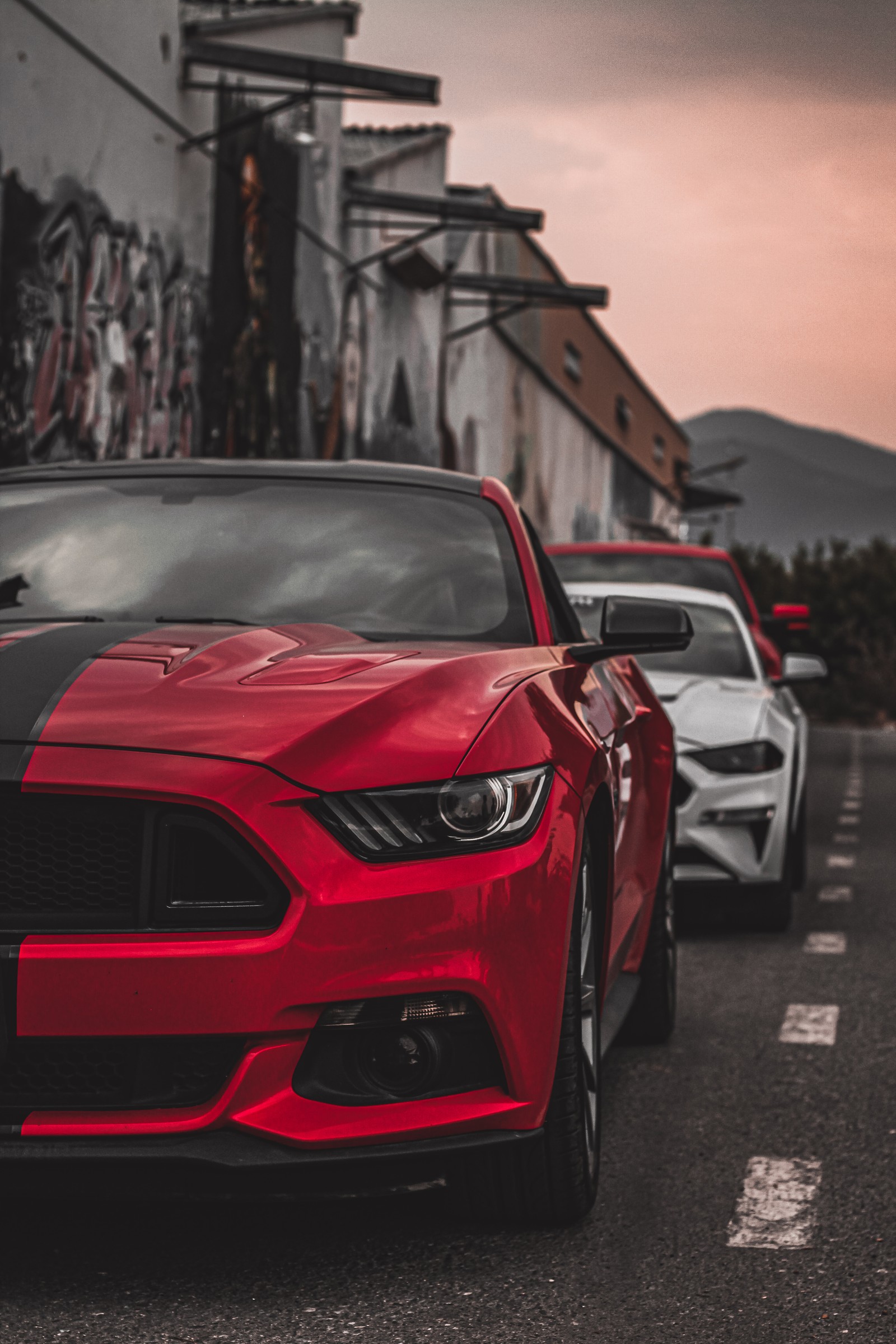 Um close de um mustang vermelho estacionado na rua (carro, carros, vermelho, velocidad)