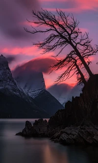 hermoso, montaña, rio, árbol, crepúsculo