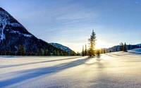 Serena natureza selvagem de inverno com montanhas cobertas de neve e uma árvore solitária