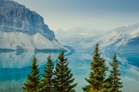 Tranquil Bow Lake Surrounded by Majestic Mountains and Lush Evergreens.