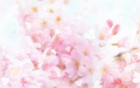 flower, pink, petal, spring, blossom wallpaper