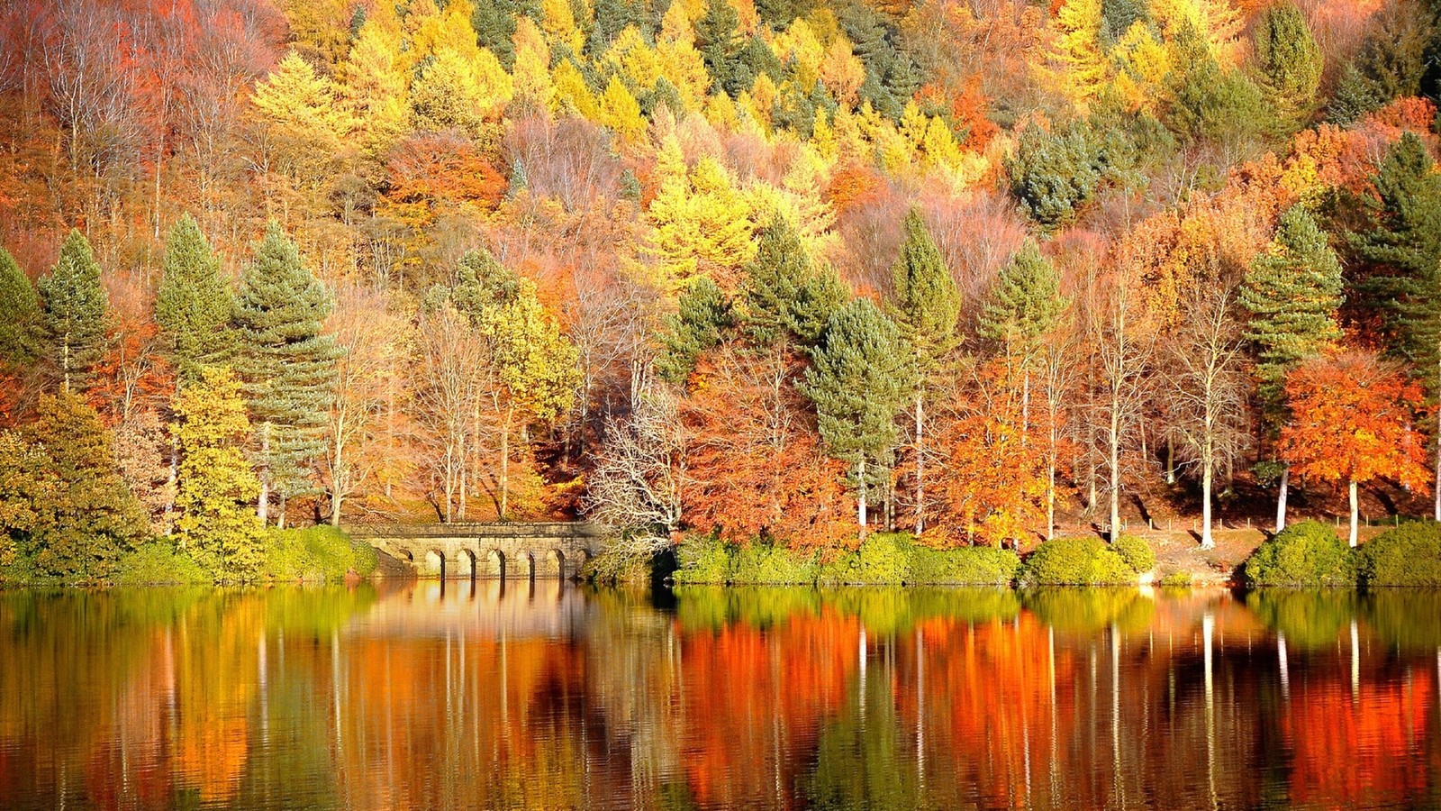 Aussicht auf einen see mit bäumen im hintergrund und einer brücke im vordergrund (herbst, reflexion, natur, baum, blatt)