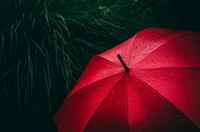 Paraguas rojo vibrante con gotas de lluvia en un día lluvioso