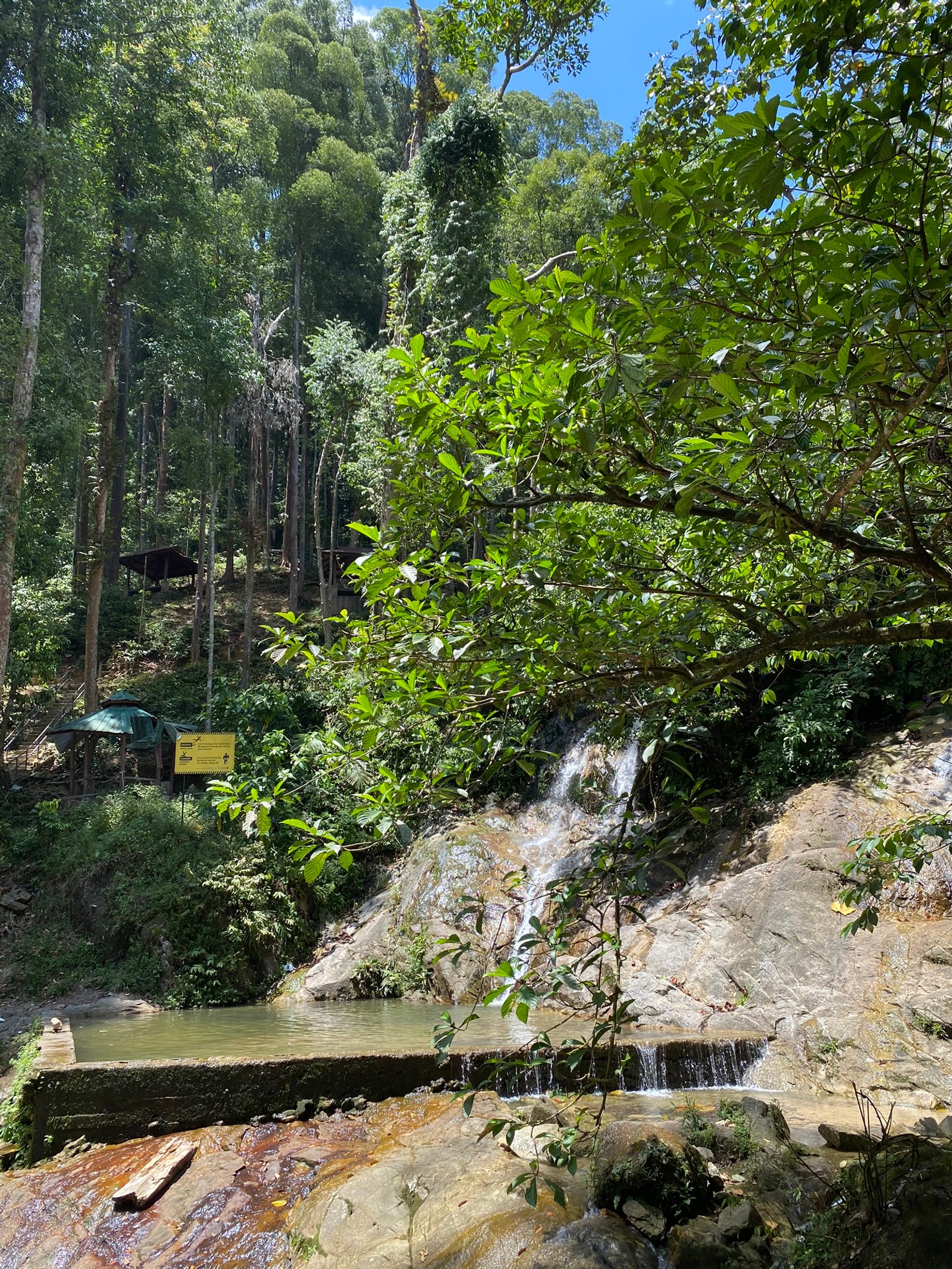 Hay una pequeña cascada en medio de un bosque (agua, cauce, hoja, vegetación, reserva natural)