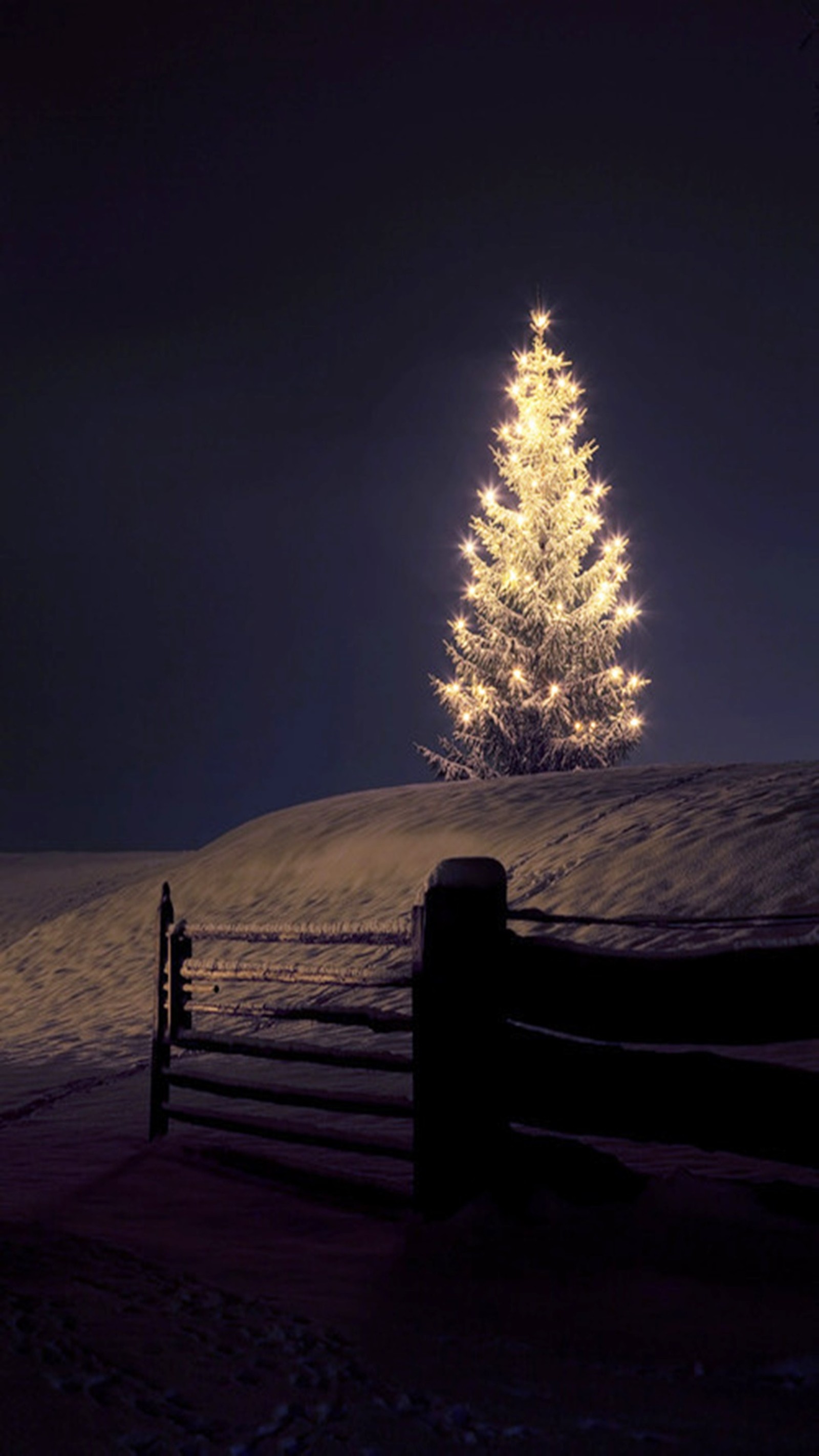 There is a small christmas tree that is lit up in the dark (christmas, night)