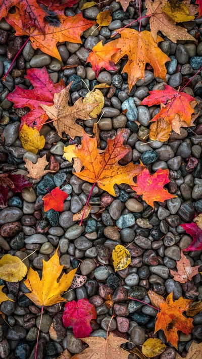 herbst, herbstszenen, blätter, natur, spritzer