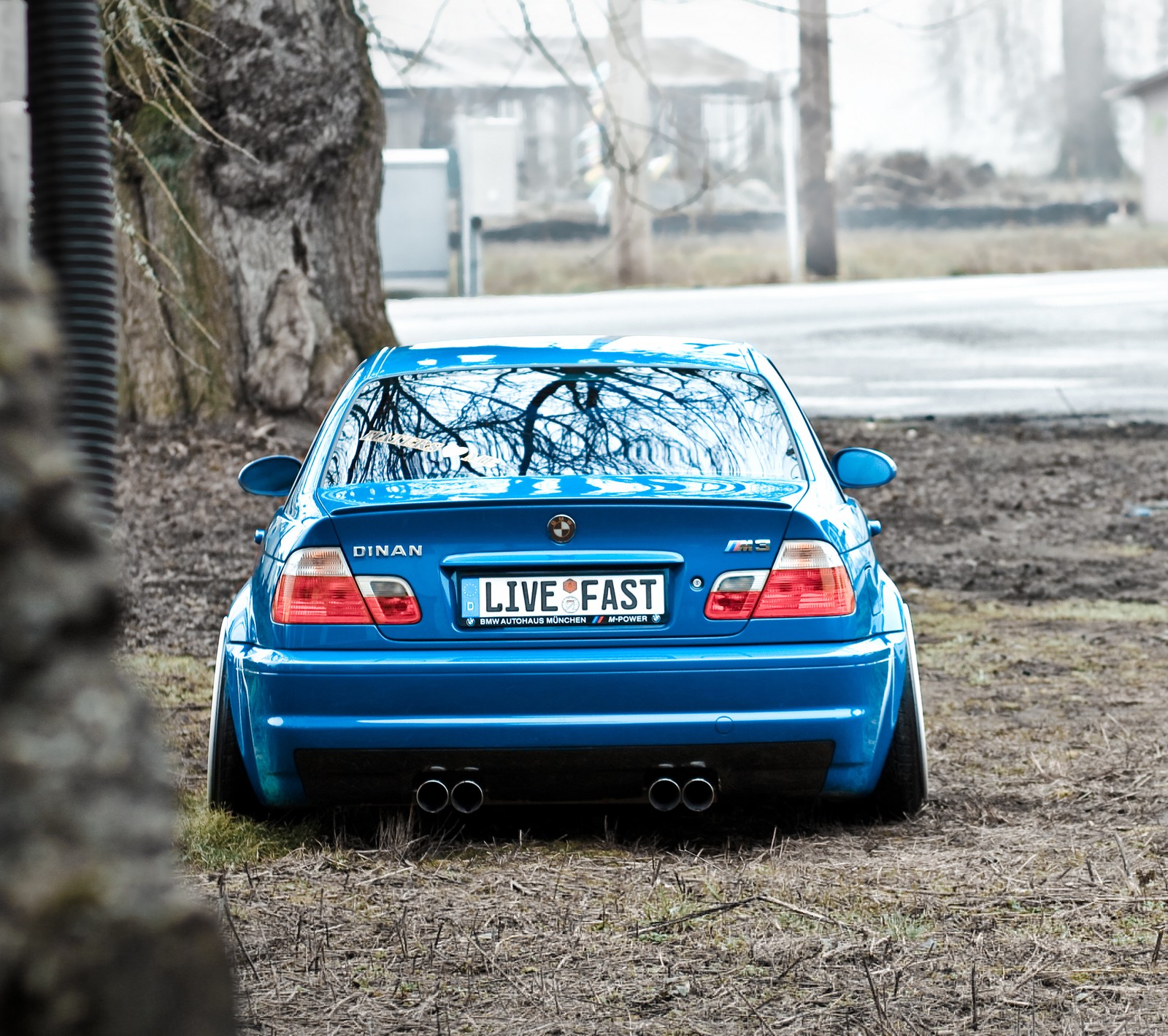 Hay un coche azul aparcado en la hierba cerca de un árbol (azul, bmw, coche, hd)