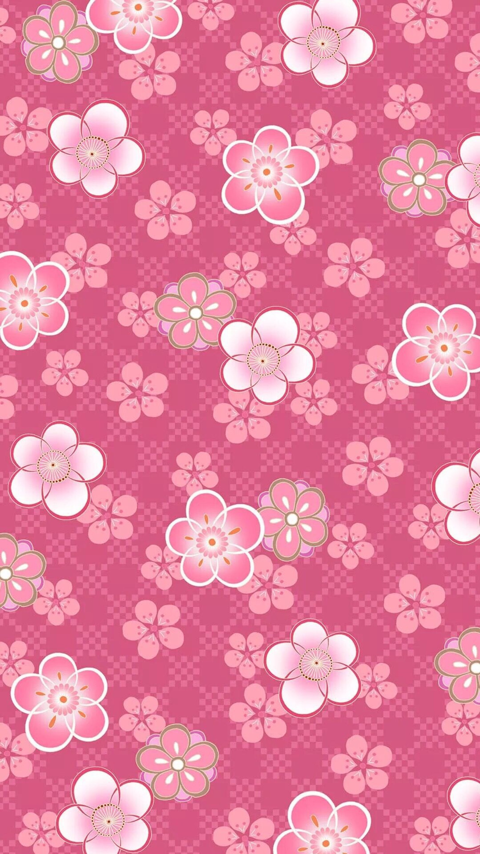 flower, flowers, pink Download Wallpaper