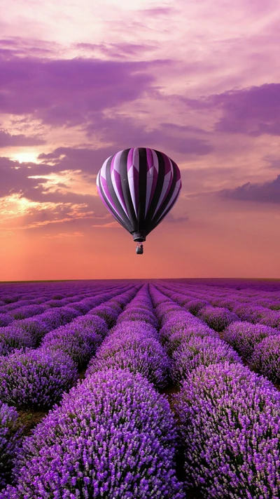 Balão de ar quente abstrato sobre campos de lavanda ao pôr do sol