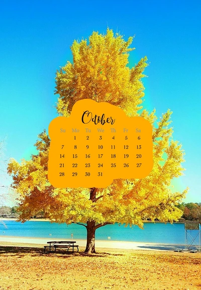 automne, calendrier, vie, octobre, citation