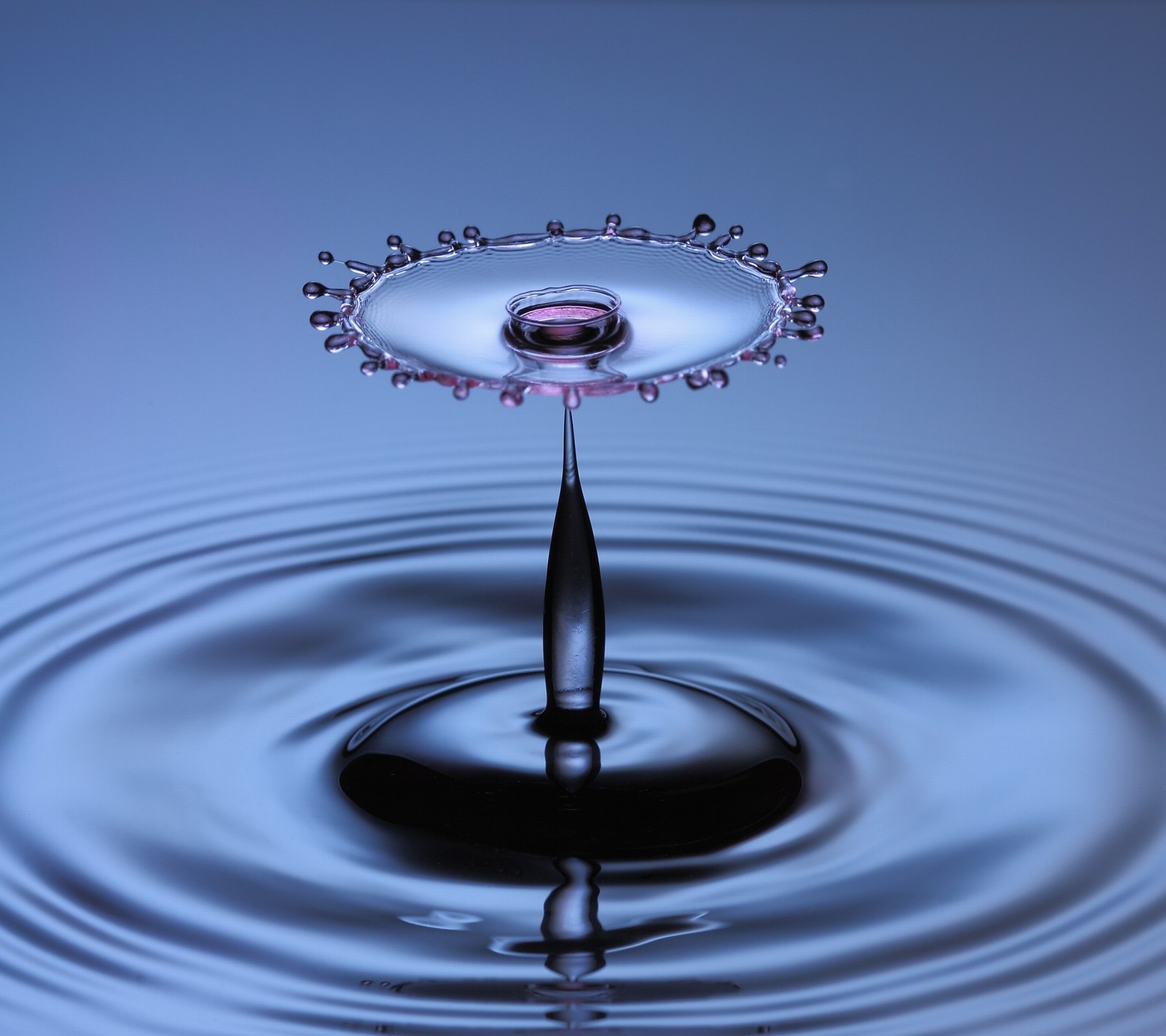 A close up of a drop of water with a crown on top (drop, water)